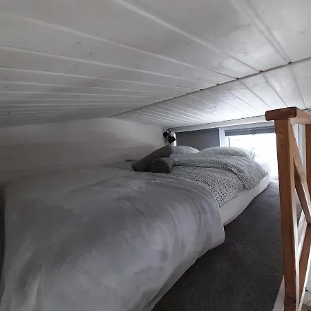 Zieleniec Tiny House دوشنيكي زدروي
